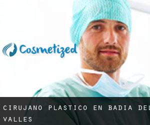 Cirujano Plástico en Badia del Vallès