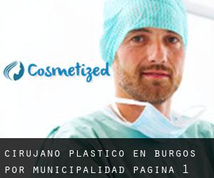 Cirujano Plástico en Burgos por municipalidad - página 1