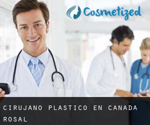 Cirujano Plástico en Cañada Rosal