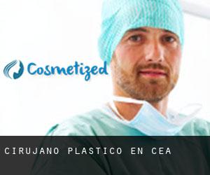 Cirujano Plástico en Cea Cirujano Plástico en Cea
