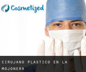 Cirujano Plástico en La Mojonera