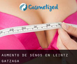 Aumento de Senos en Leintz-Gatzaga Aumento de Senos en Leintz-Gatzaga