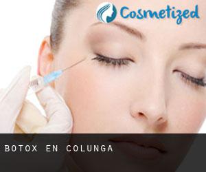 Botox en Colunga