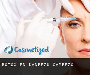 Botox en Kanpezu / Campezo