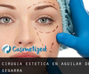 Cirugía Estética en Aguilar de Segarra