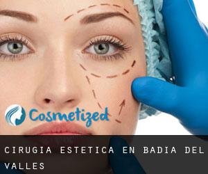 Cirugía Estética en Badia del Vallès
