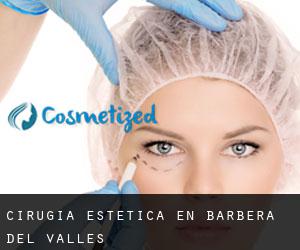 Cirugía Estética en Barberà del Vallès