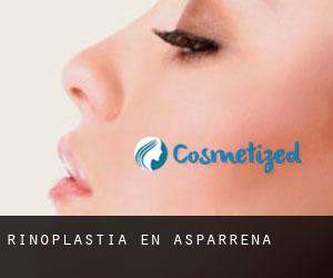 Rinoplastia en Asparrena