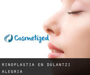 Rinoplastia en Dulantzi / Alegría