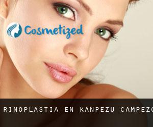 Rinoplastia en Kanpezu / Campezo Rinoplastia en Kanpezu / Campezo