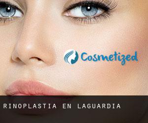 Rinoplastia en Laguardia Rinoplastia en Laguardia