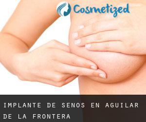 Implante de Senos en Aguilar de la Frontera Implante de Senos en Aguilar de la Frontera