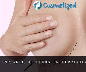 Implante de Senos en Berriatua Implante de Senos en Berriatua