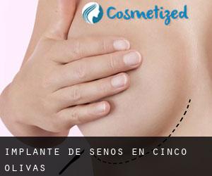 Implante de Senos en Cinco Olivas Implante de Senos en Cinco Olivas
