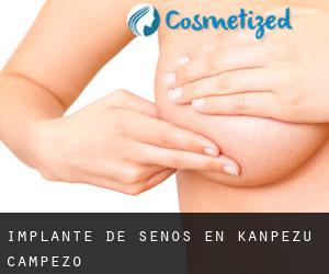 Implante de Senos en Kanpezu / Campezo