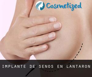 Implante de Senos en Lantarón Implante de Senos en Lantarón