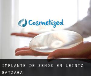 Implante de Senos en Leintz-Gatzaga Implante de Senos en Leintz-Gatzaga