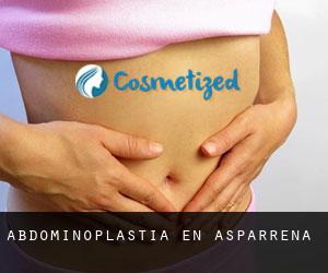 Abdominoplastia en Asparrena