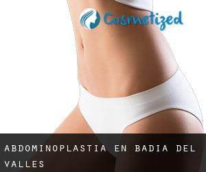 Abdominoplastia en Badia del Vallès