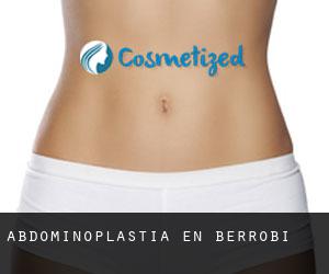 Abdominoplastia en Berrobi