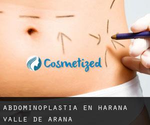 Abdominoplastia en Harana / Valle de Arana Abdominoplastia en Harana / Valle de Arana