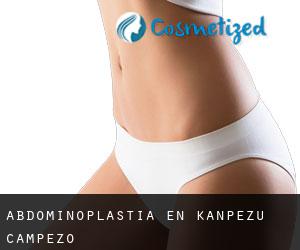 Abdominoplastia en Kanpezu / Campezo Abdominoplastia en Kanpezu / Campezo