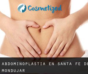 Abdominoplastia en Santa Fe de Mondújar