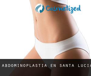 Abdominoplastia en Santa Lucía