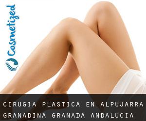 cirugía plástica en Alpujarra Granadina (Granada, Andalucía)