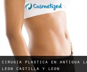 cirugía plástica en Antigua (La) (León, Castilla y León)