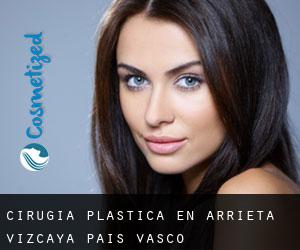 cirugía plástica en Arrieta (Vizcaya, País Vasco)