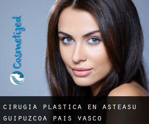 cirugía plástica en Asteasu (Guipúzcoa, País Vasco)