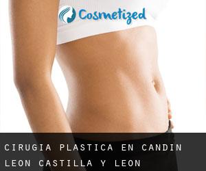 cirugía plástica en Candín (León, Castilla y León)