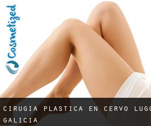 cirugía plástica en Cervo (Lugo, Galicia)