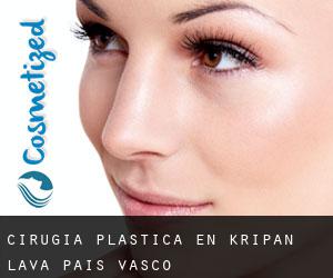 cirugía plástica en Kripan (Álava, País Vasco)