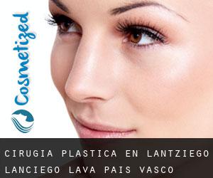 cirugía plástica en Lantziego / Lanciego (Álava, País Vasco)